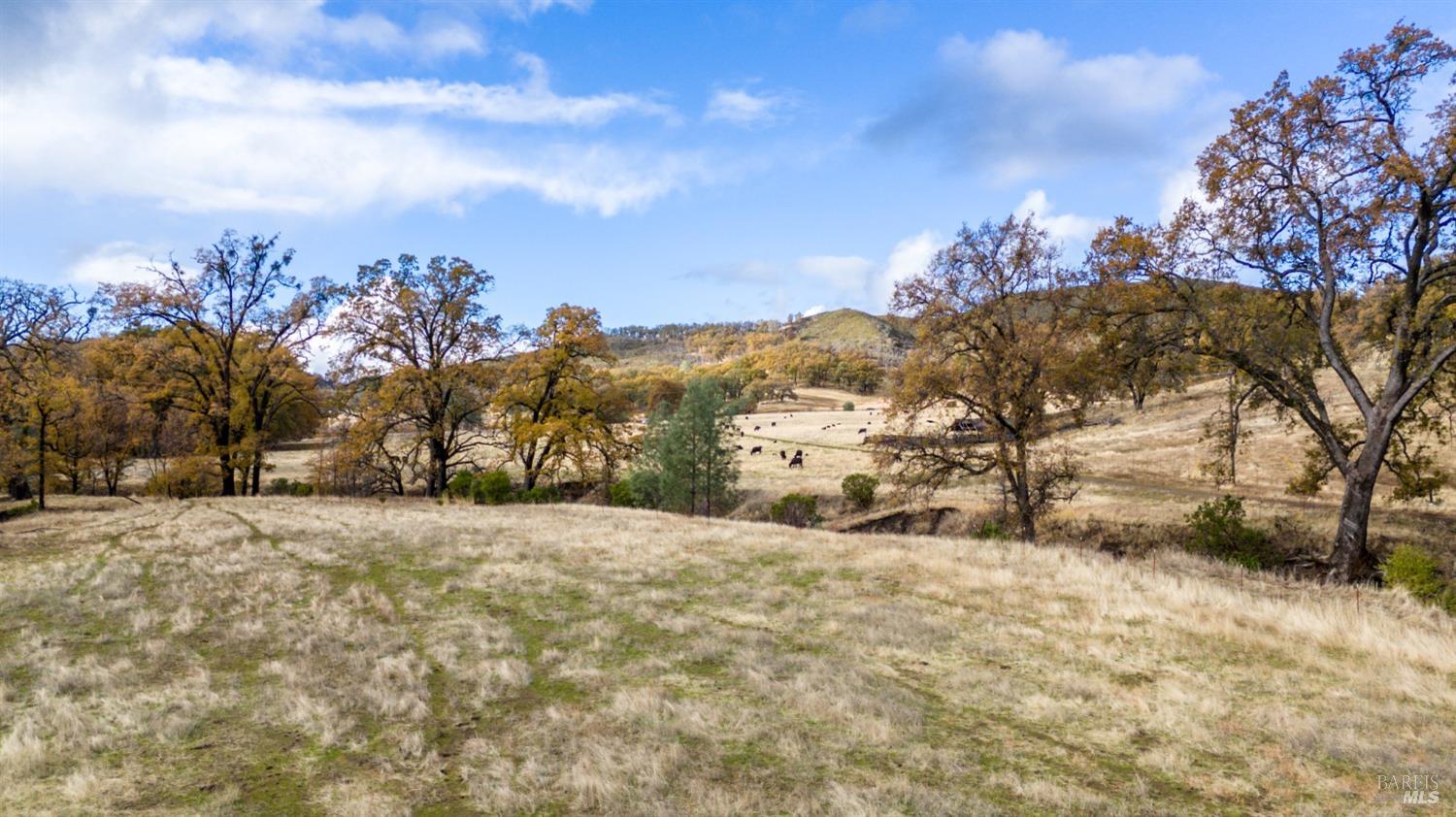 11158 Rocky Creek Road Lower Lake CA 95457