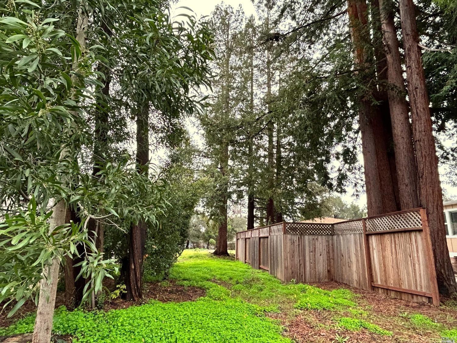 1741 Pine Street Napa CA 94559
