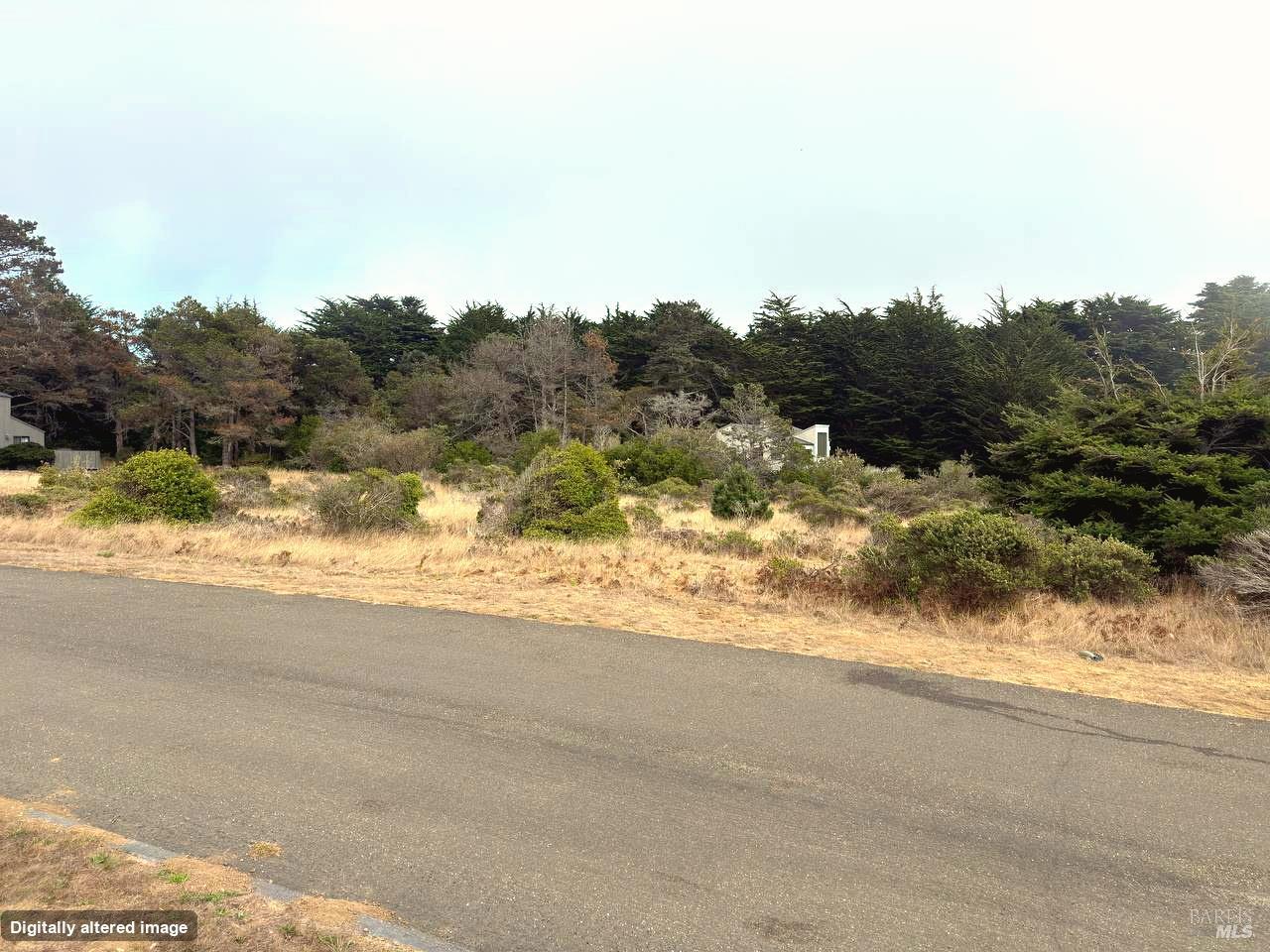 74 Burl Tree The Sea Ranch CA 95497