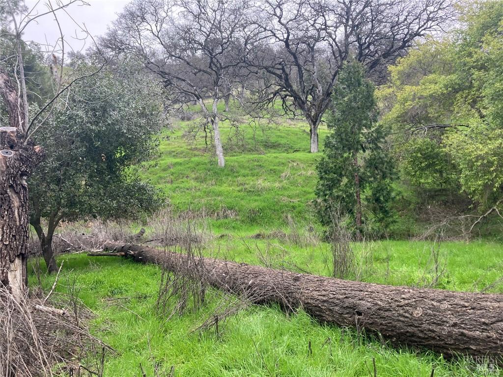 7005 E Highway 20 Lucerne CA 95458