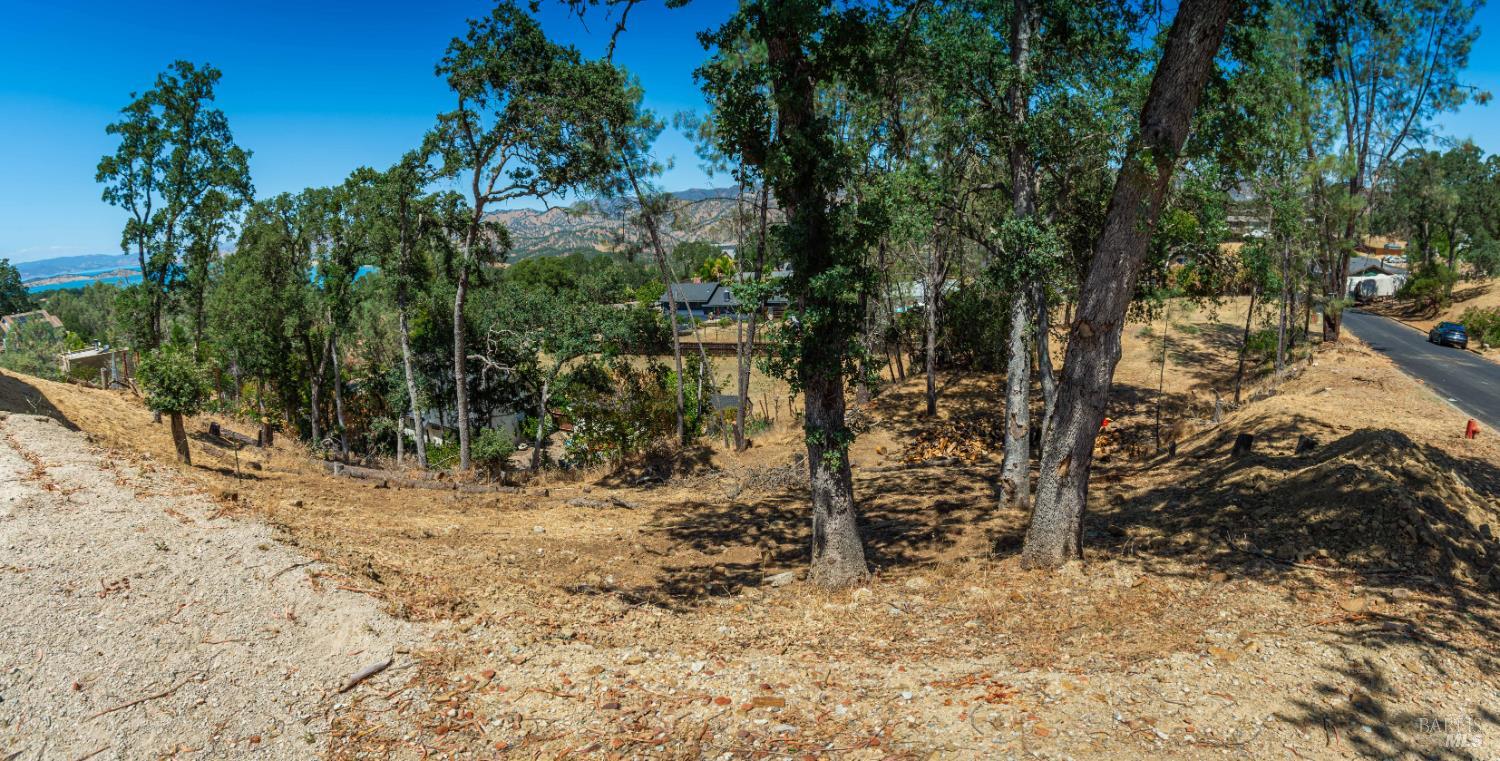1009 Westridge Drive Napa CA 94558