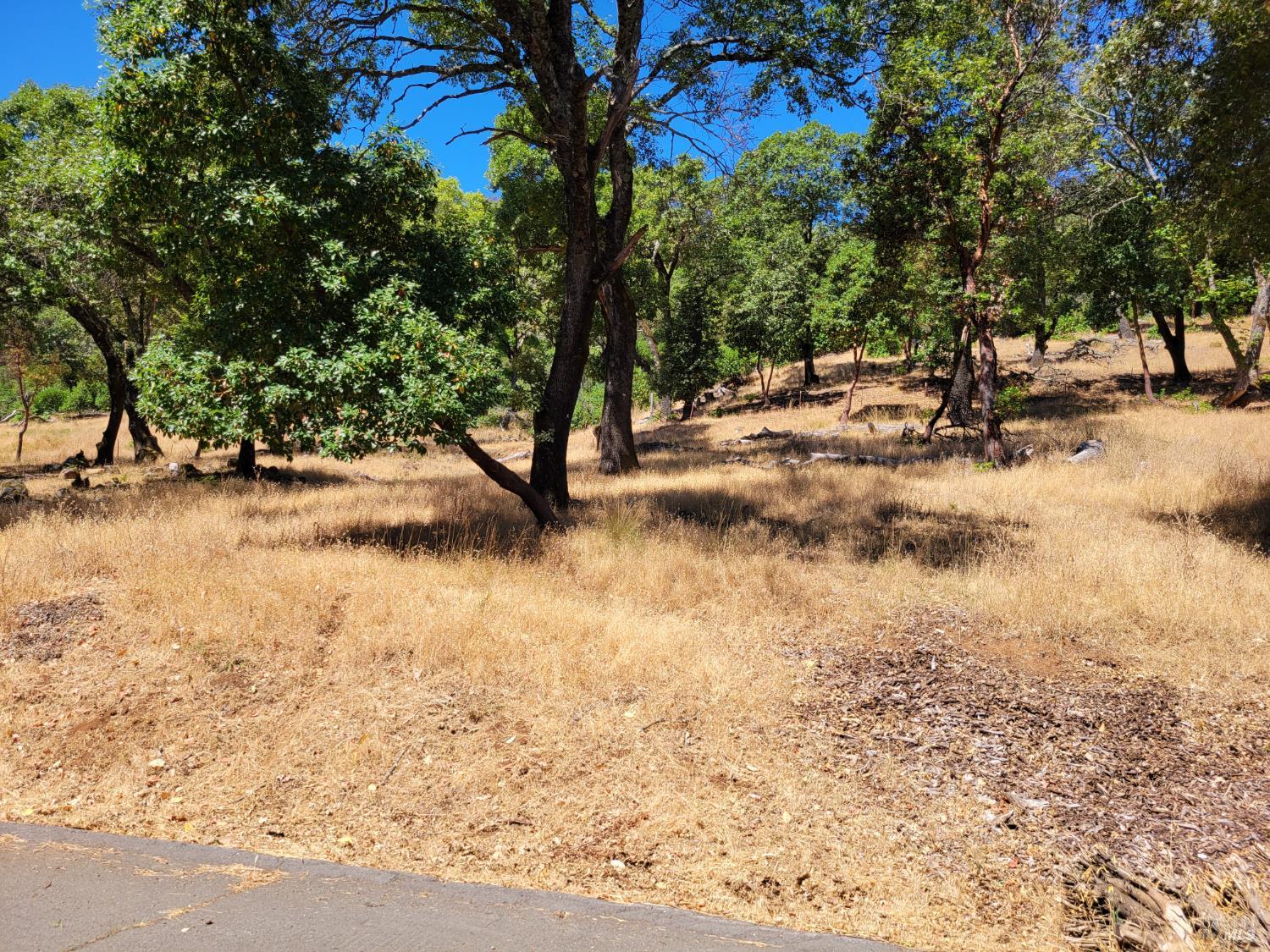 208 Juniper Drive Napa CA 94558