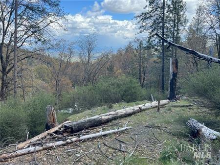 11260 Loch Lomond Road Middletown CA 95461