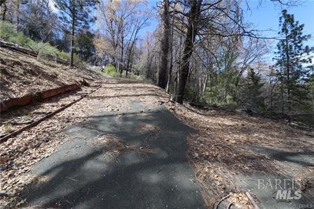 11260 Loch Lomond Road Middletown CA 95461
