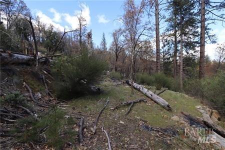 11260 Loch Lomond Road Middletown CA 95461