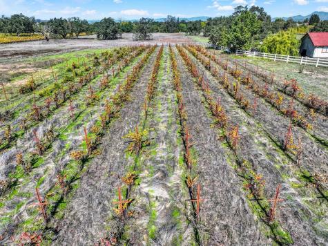 5695 Bravo Toro Lane Santa Rosa CA 95401