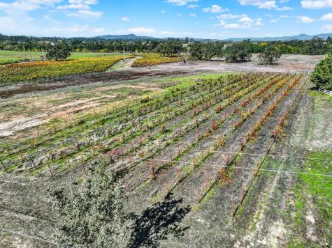 5695 Bravo Toro Lane Santa Rosa CA 95401