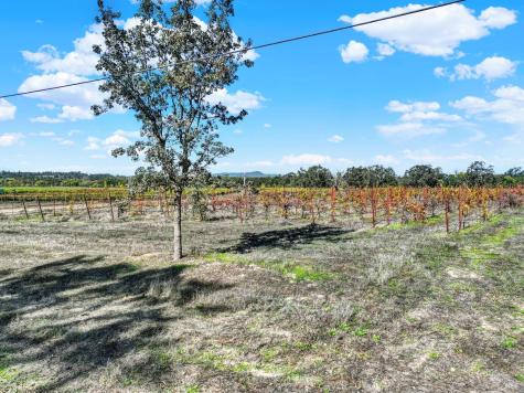 5695 Bravo Toro Lane Santa Rosa CA 95401