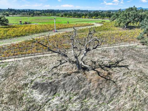 5695 Bravo Toro Lane Santa Rosa CA 95401