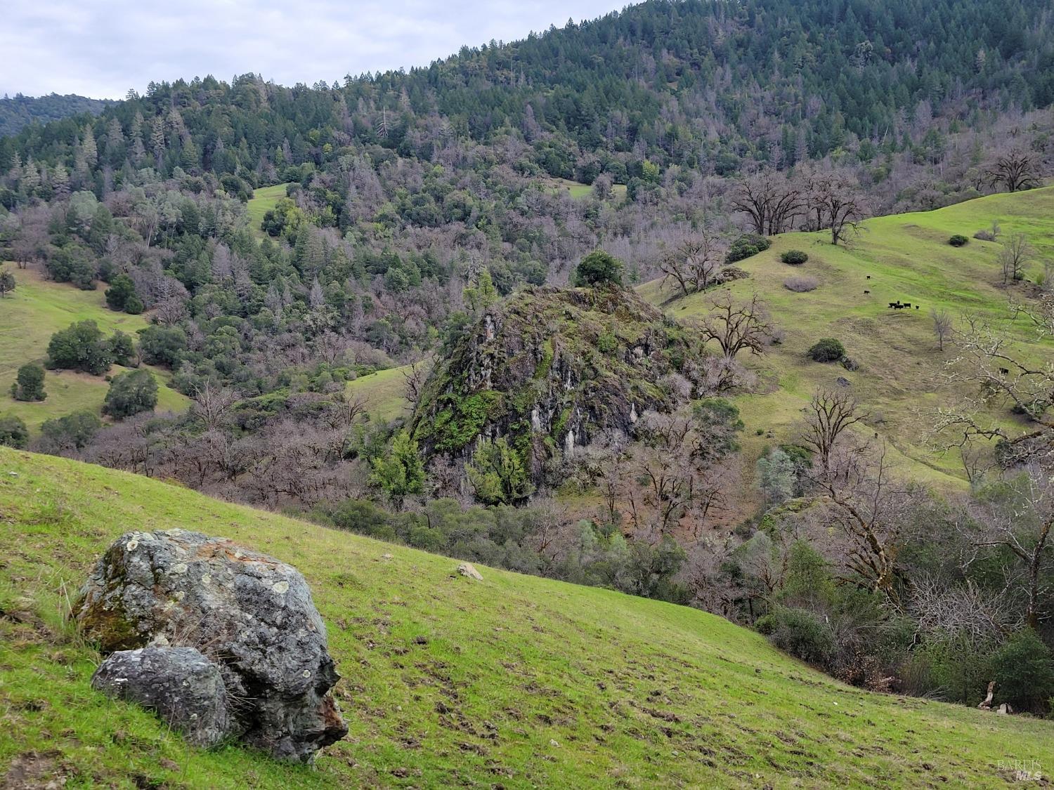 0 Covelo Road Willits CA 95490