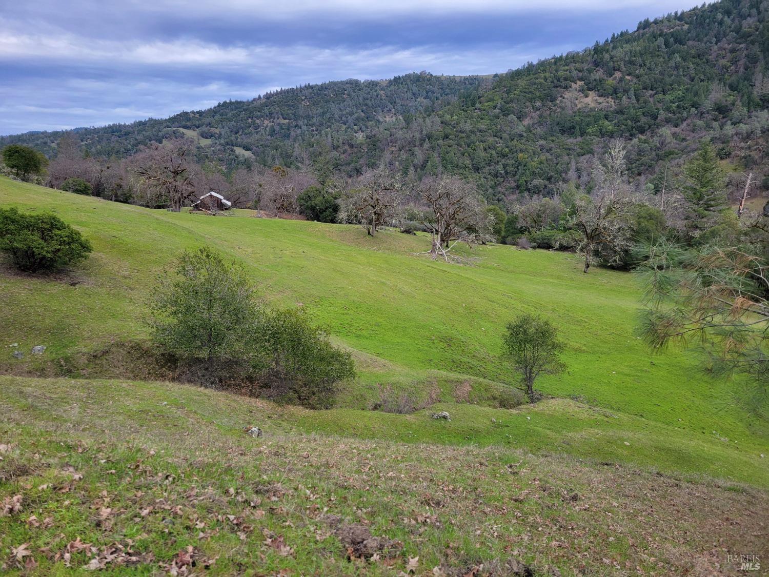 0 Covelo Road Willits CA 95490