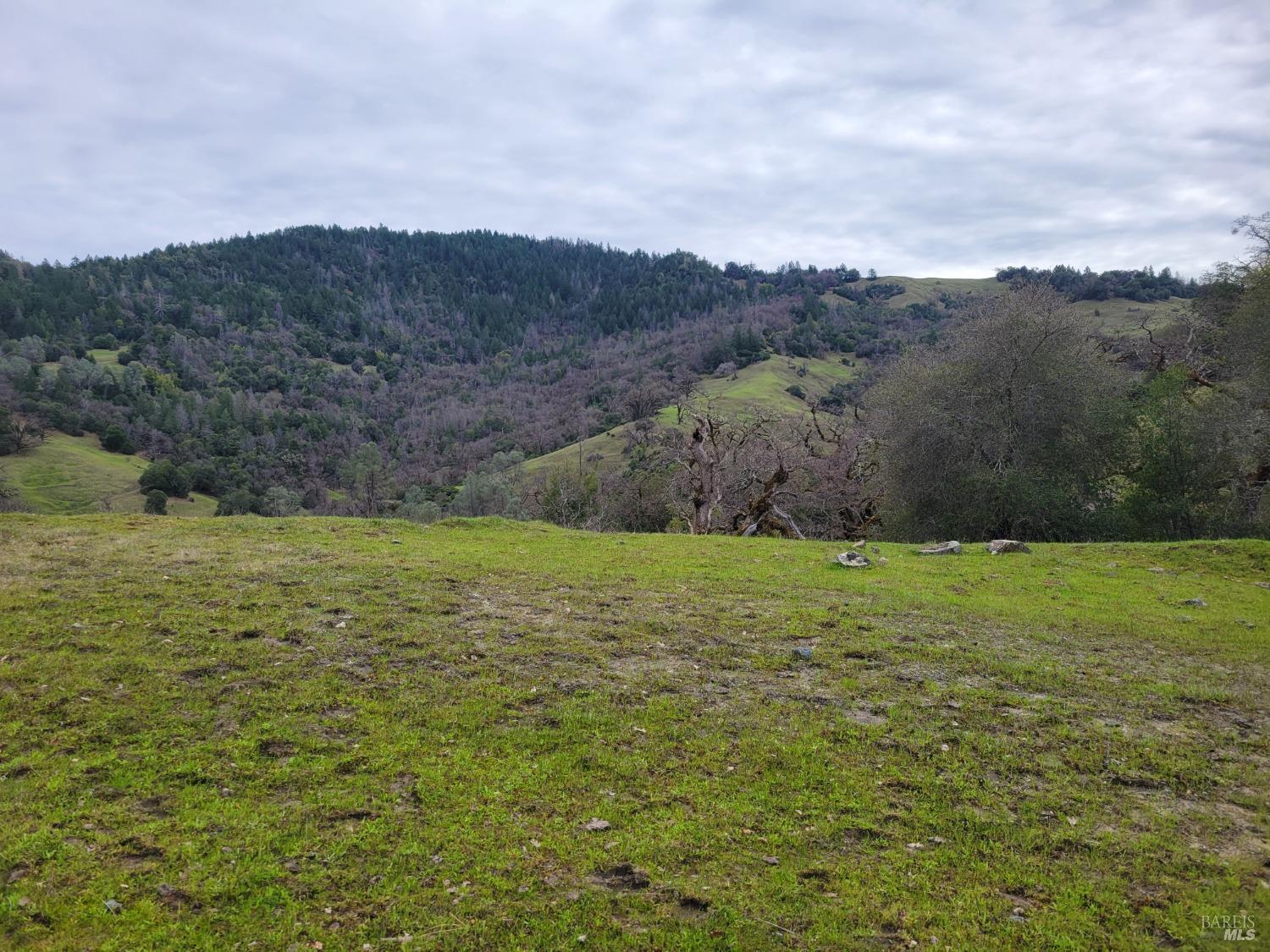 0 Covelo Road Willits CA 95490