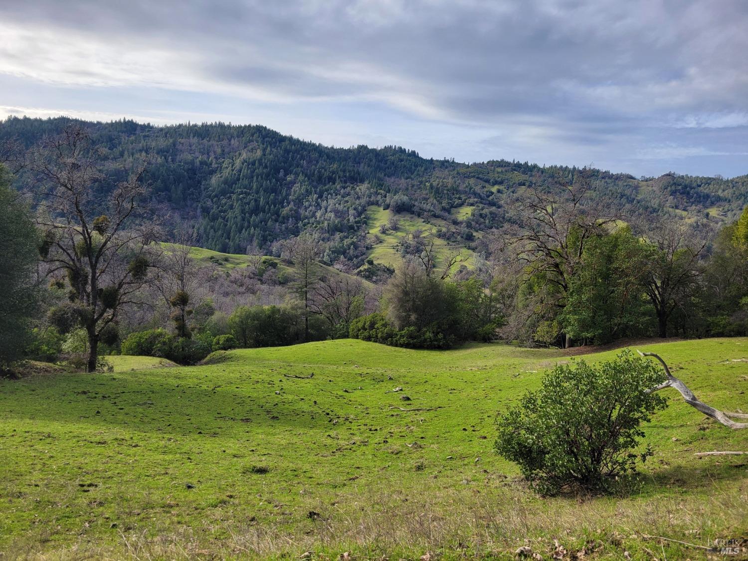 0 Covelo Road Willits CA 95490