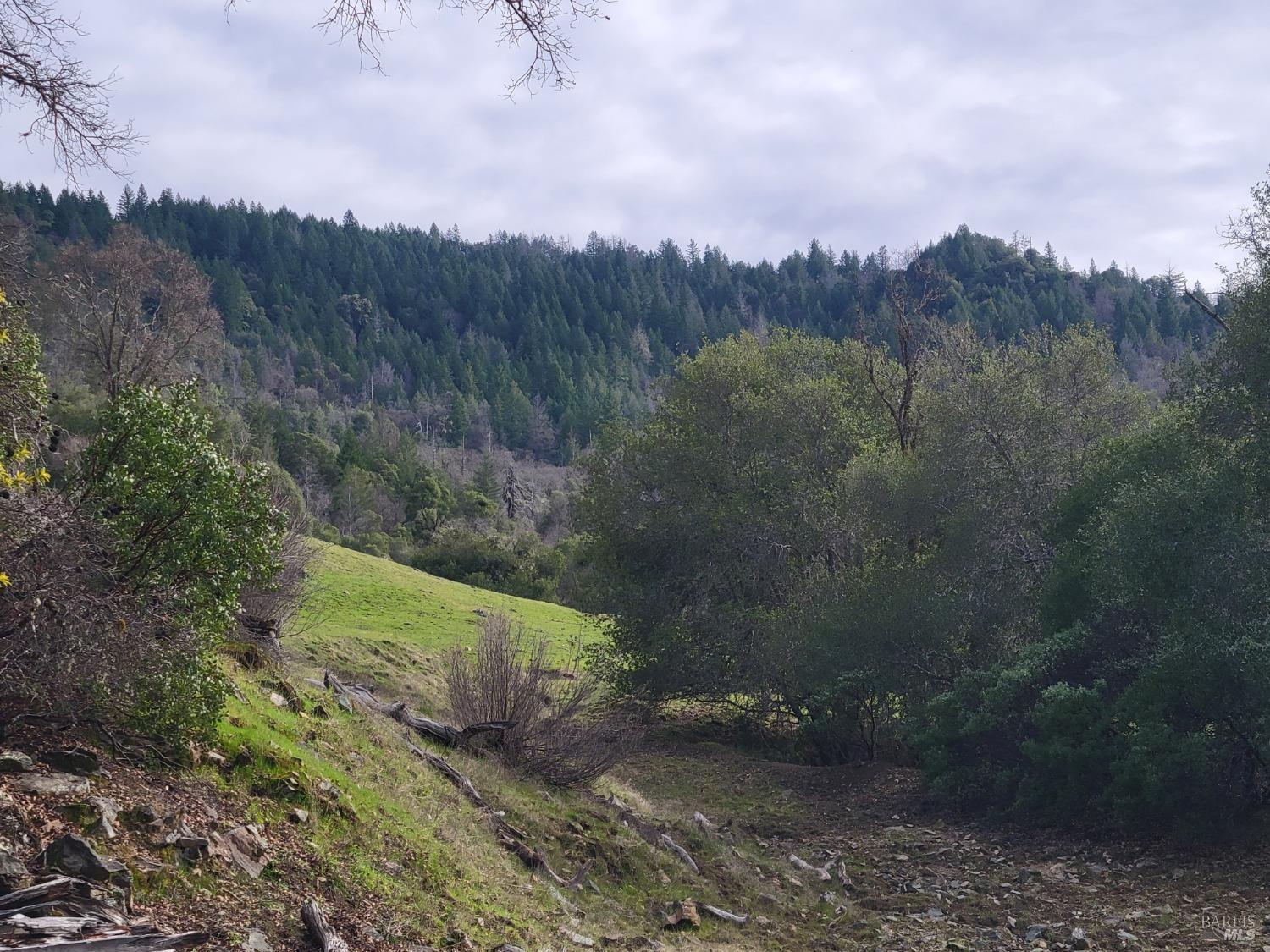 0 Covelo Road Willits CA 95490