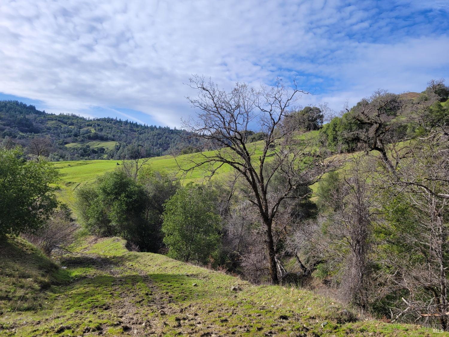0 Covelo Road Willits CA 95490