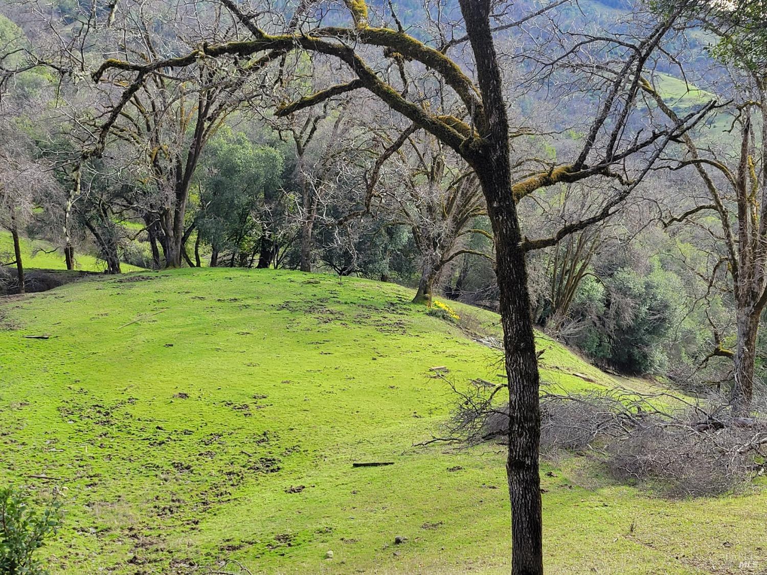 0 Covelo Road Willits CA 95490