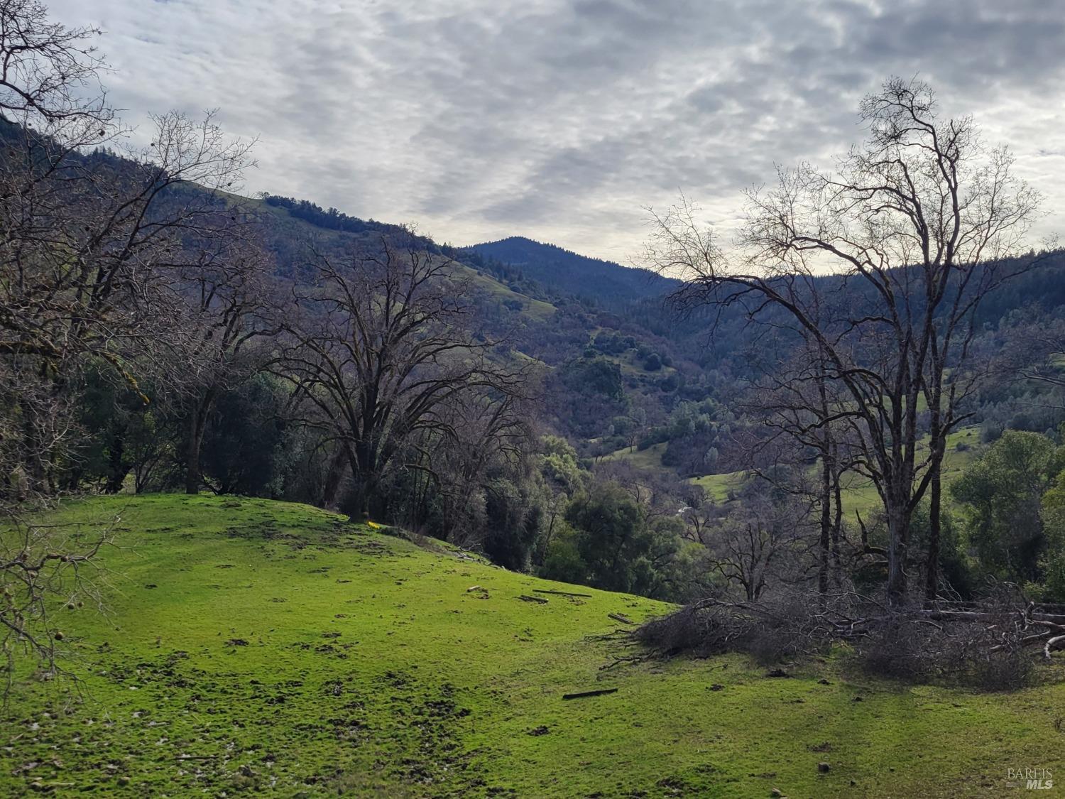 0 Covelo Road Willits CA 95490