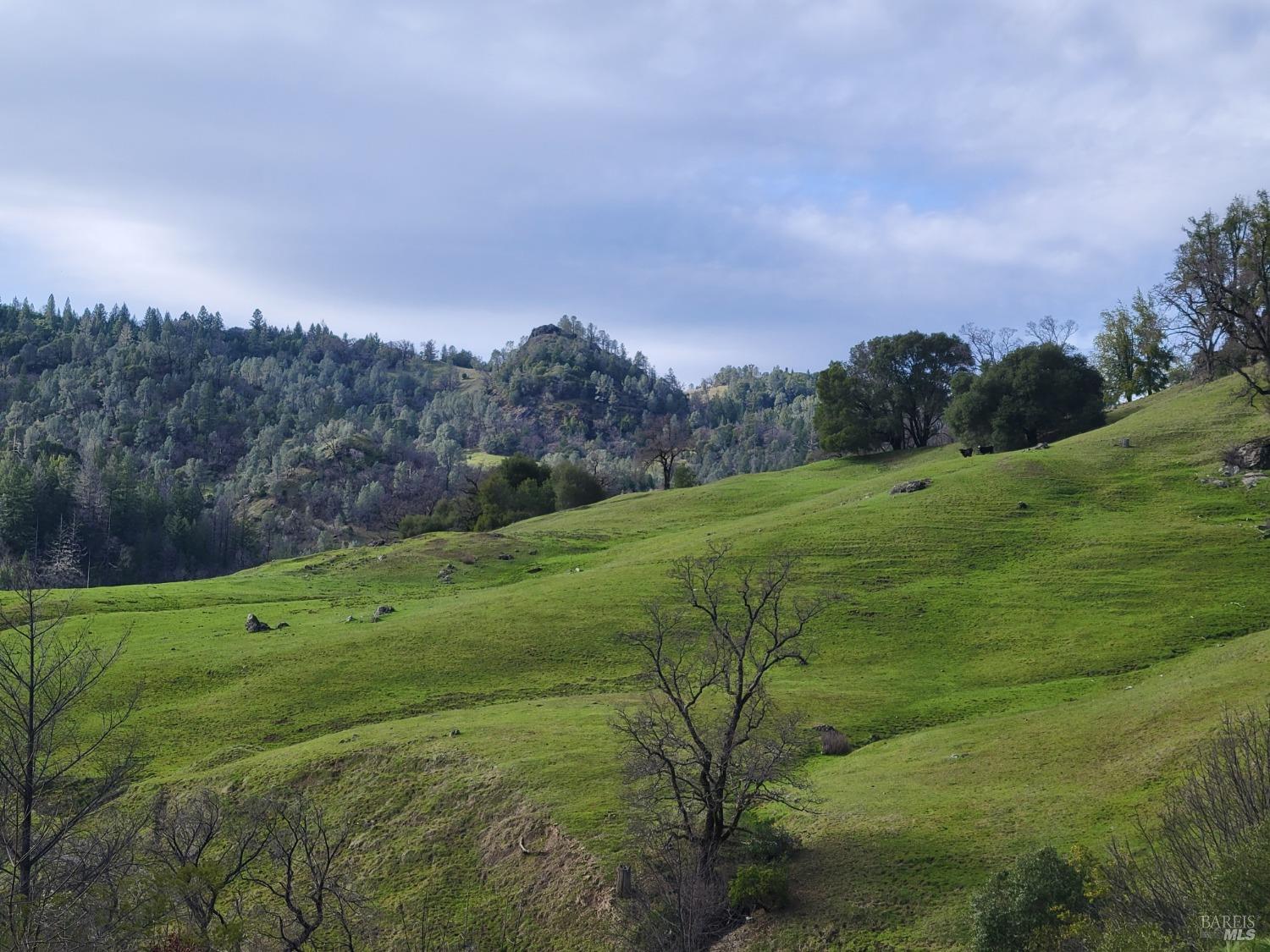0 Covelo Road Willits CA 95490