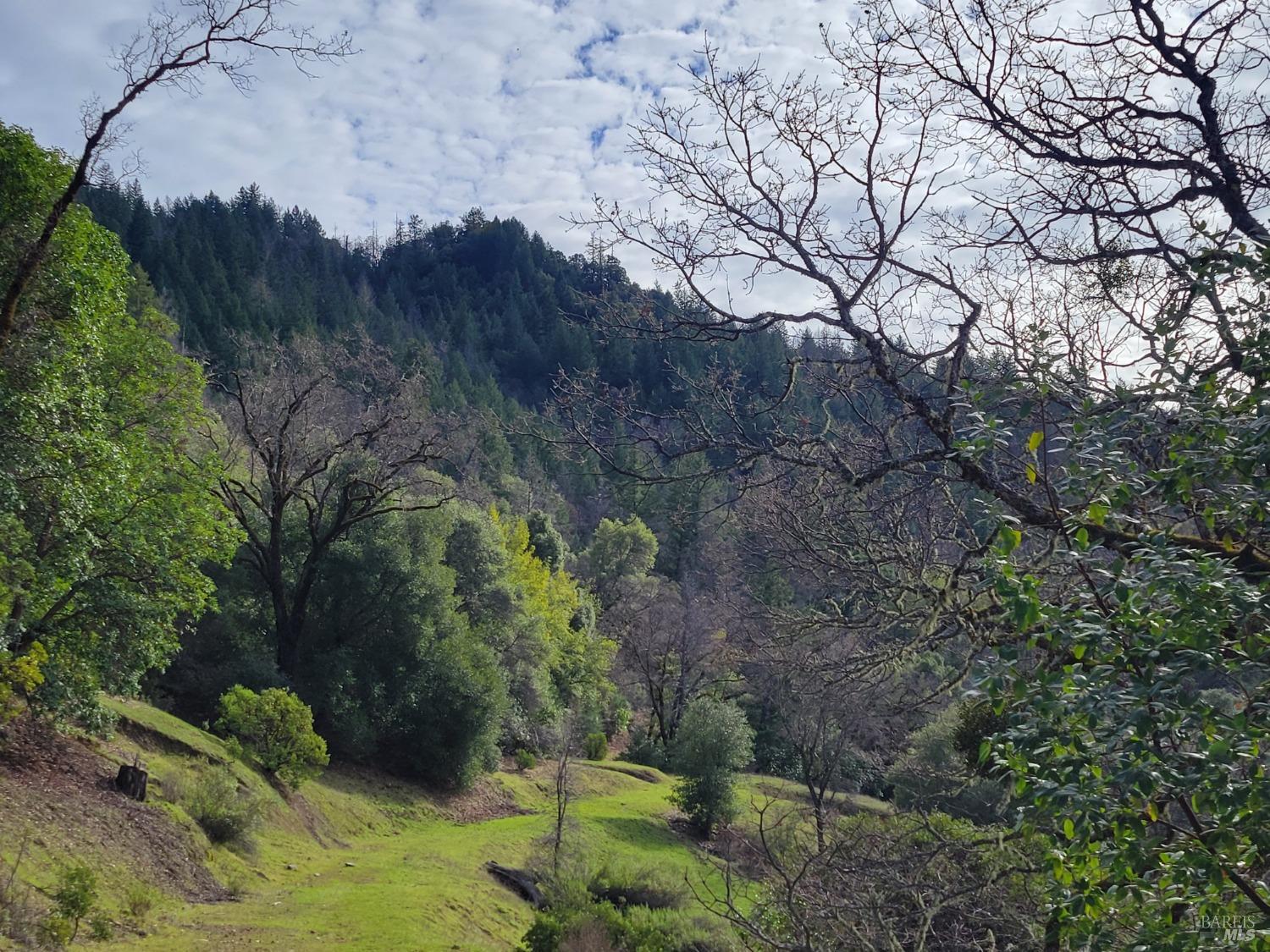 0 Covelo Road Willits CA 95490