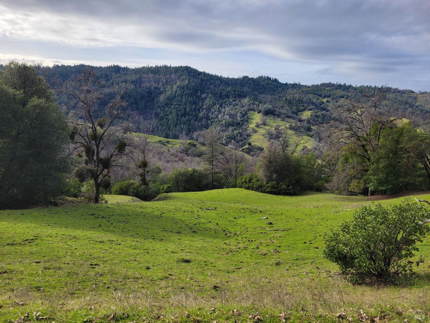 0 Covelo Road Willits CA 95490