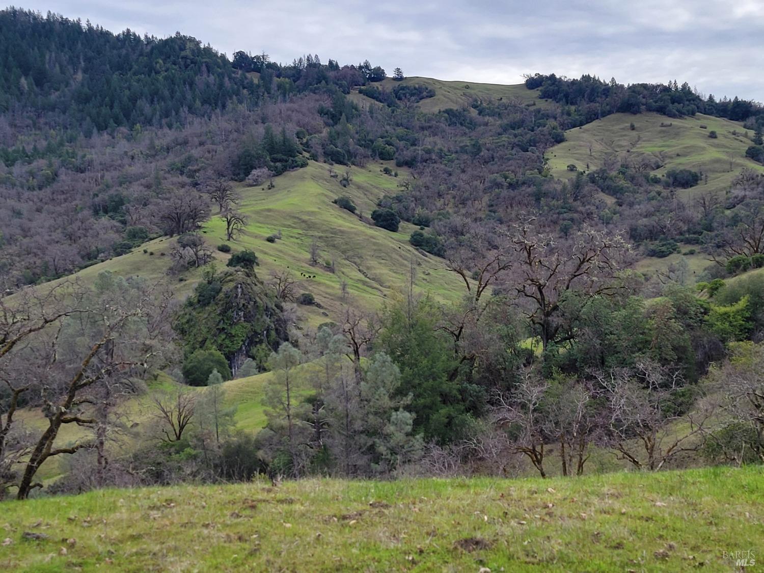0 Covelo Road Willits CA 95490