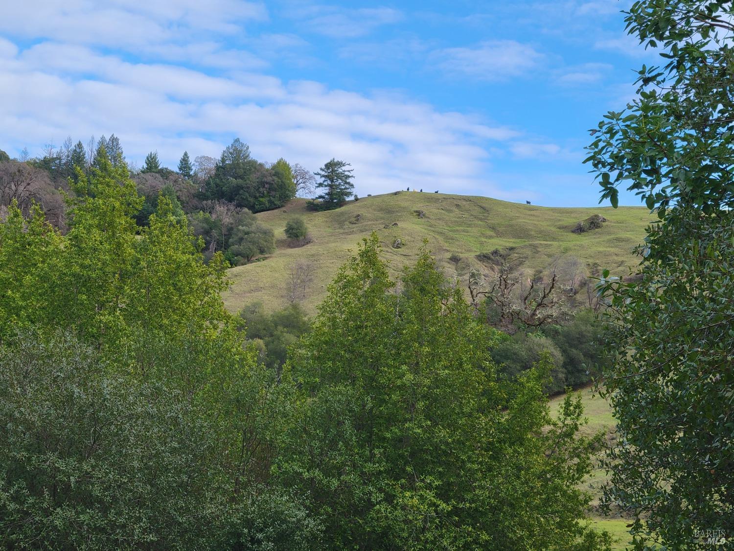 0 Covelo Road Willits CA 95490