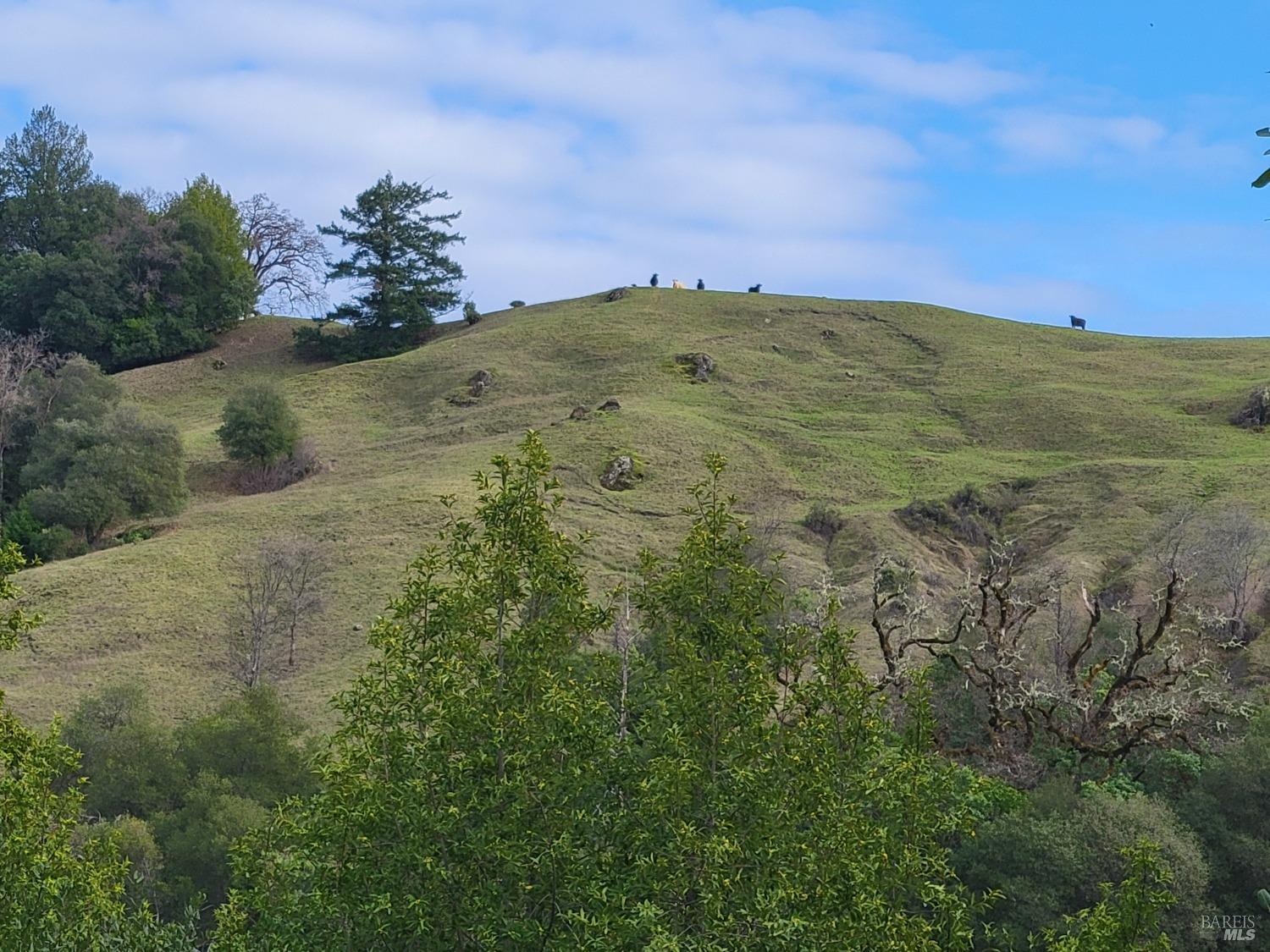 0 Covelo Road Willits CA 95490