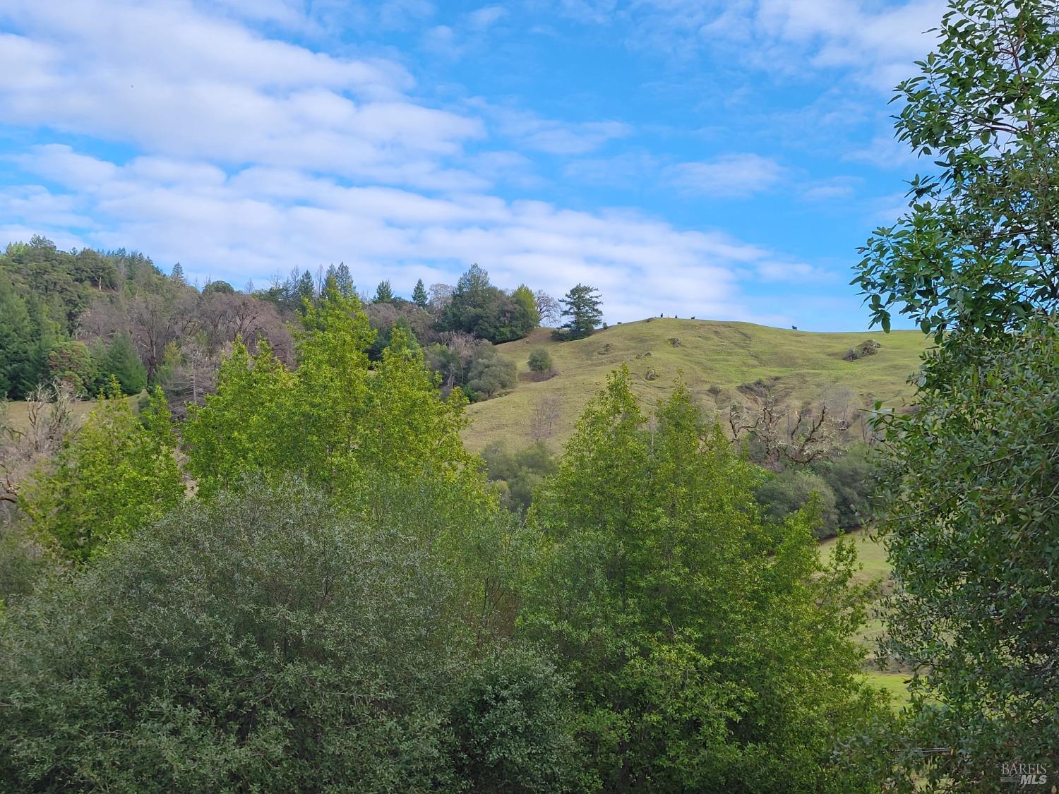 0 Covelo Road Willits CA 95490