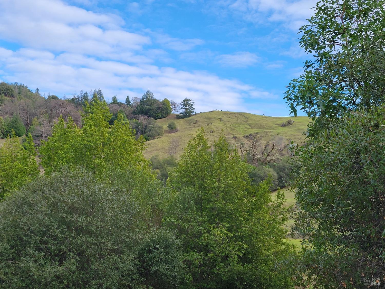 0 Covelo Road Willits CA 95490