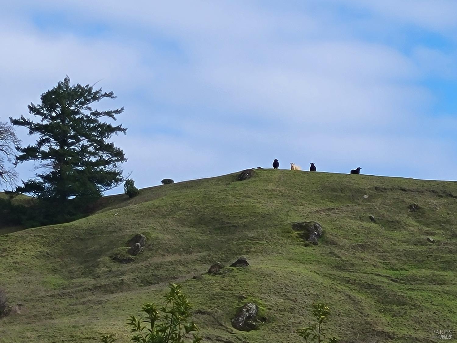 0 Covelo Road Willits CA 95490