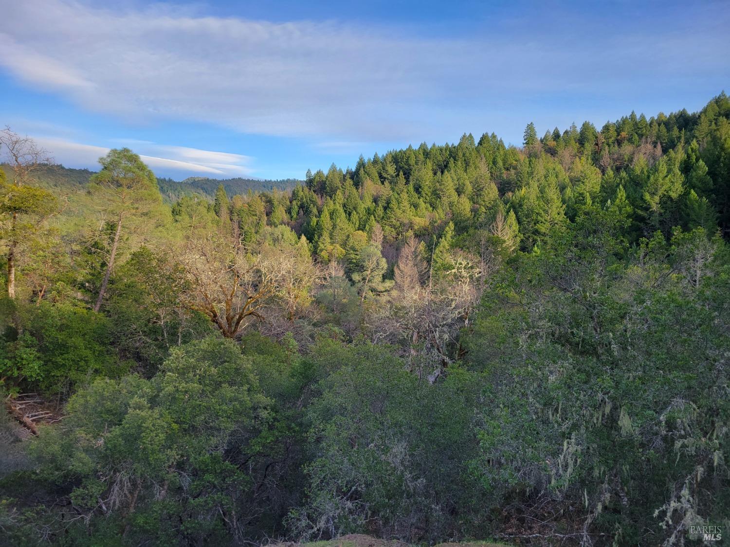 0 Covelo Road Willits CA 95490