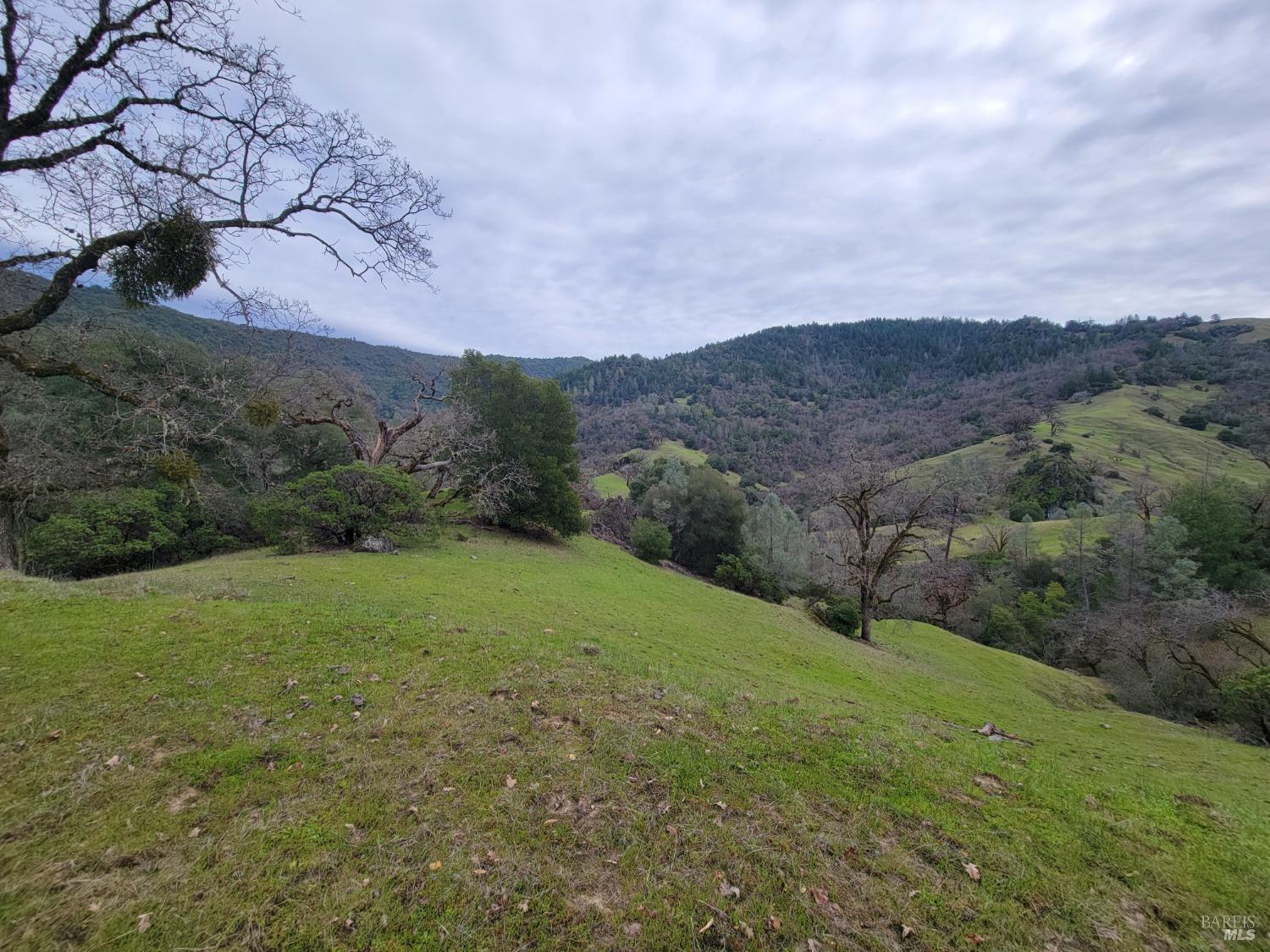 0 Covelo Road Willits CA 95490