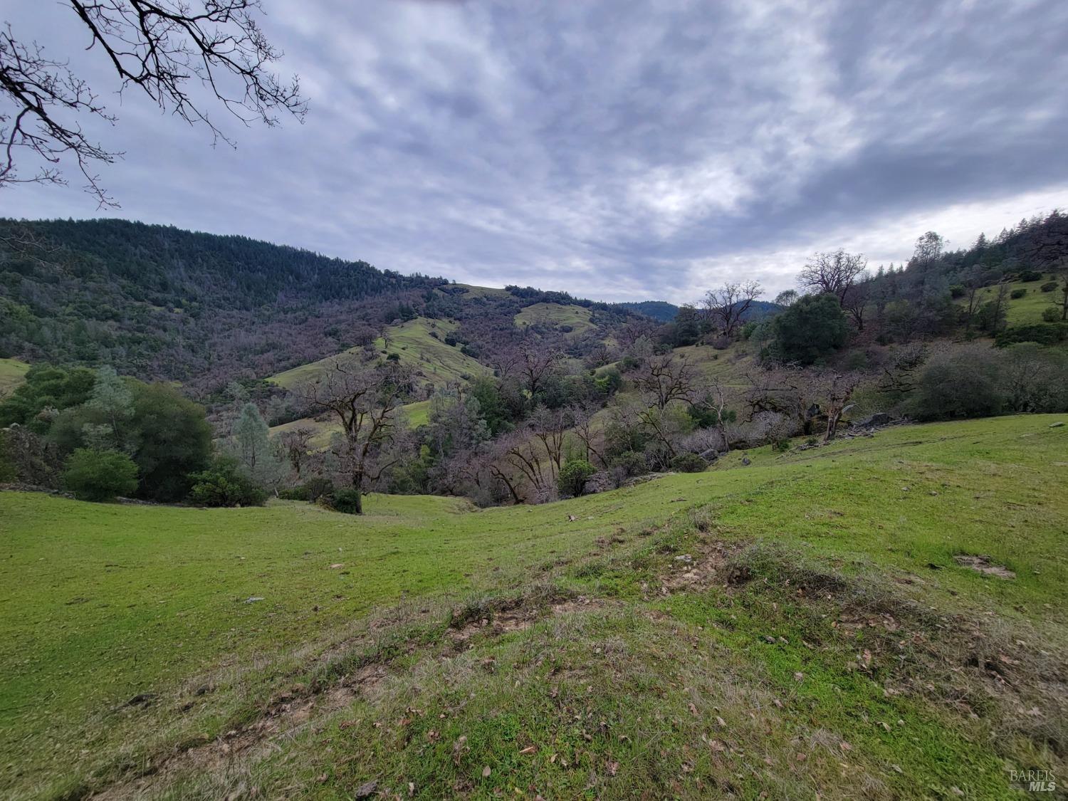 0 Covelo Road Willits CA 95490
