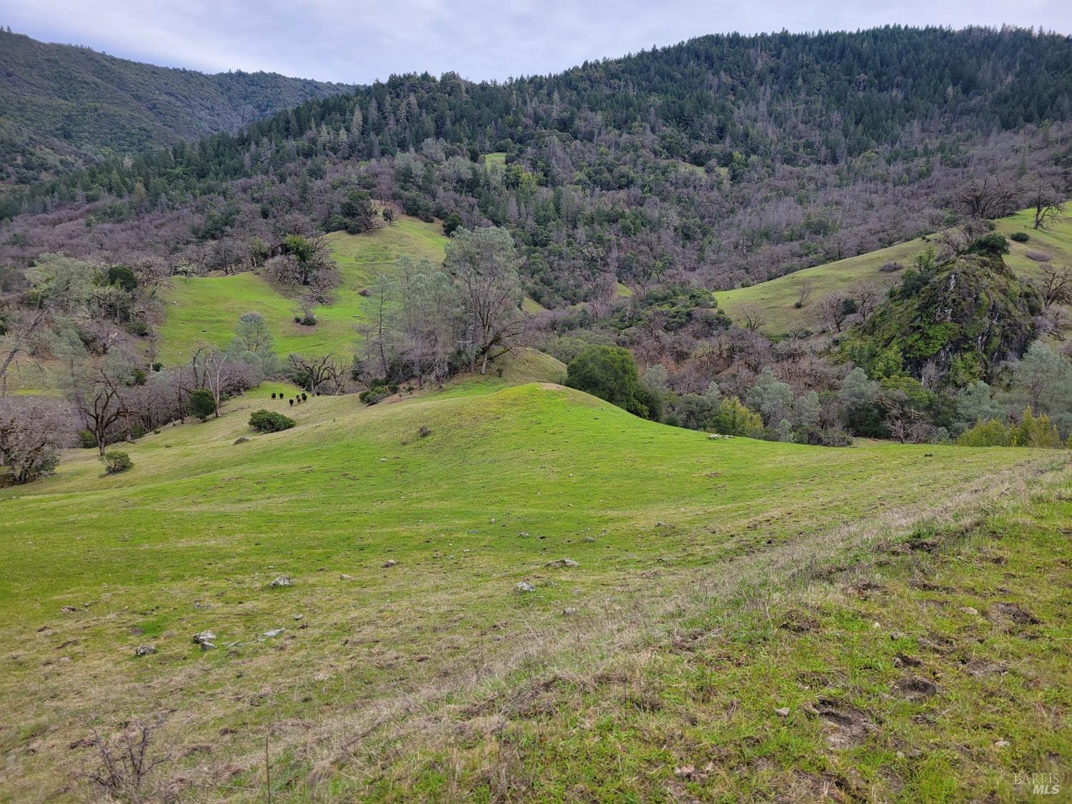 0 Covelo Road Willits CA 95490