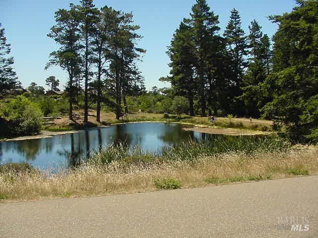 44021 Noyo Way Manchester CA 95459