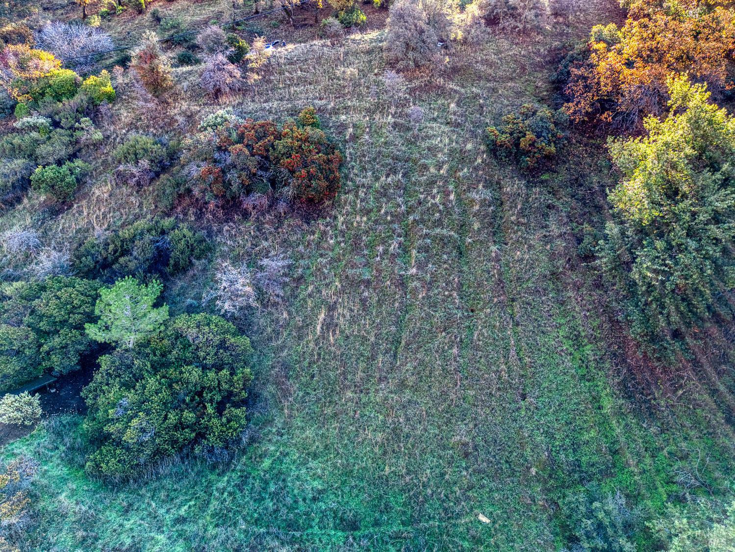 7431 Bruner Drive Glenhaven CA 95443