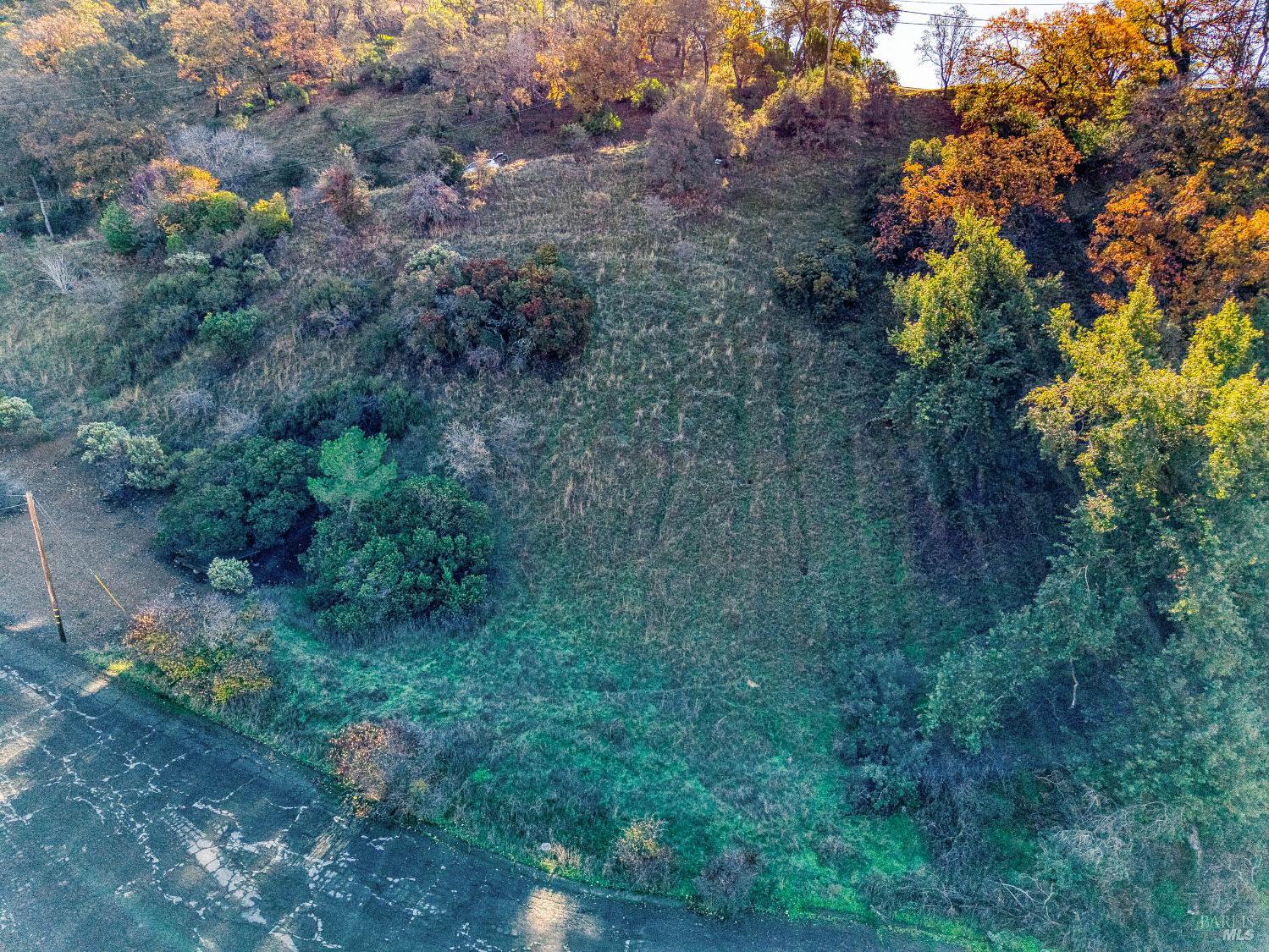 7431 Bruner Drive Glenhaven CA 95443
