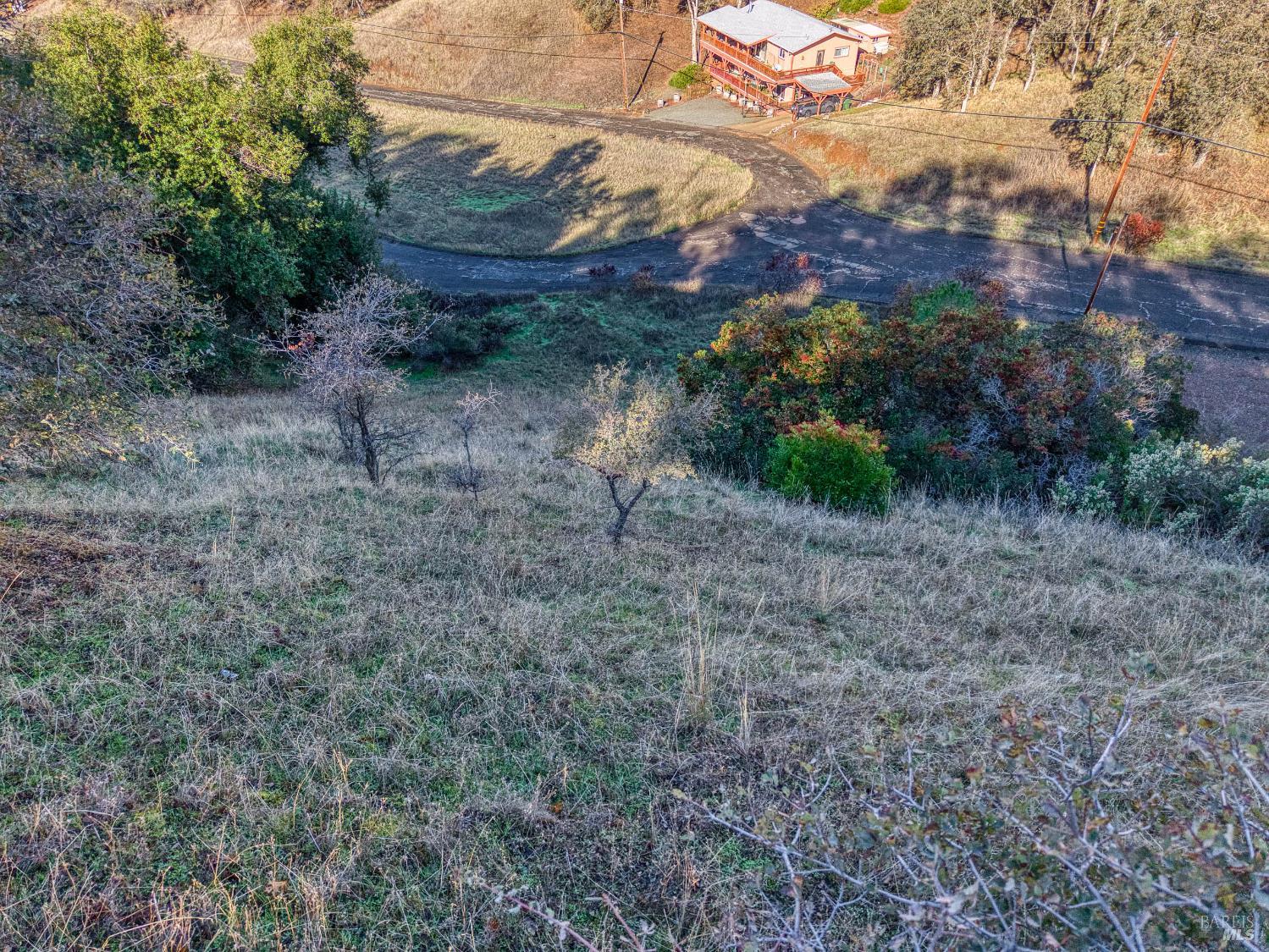 7431 Bruner Drive Glenhaven CA 95443