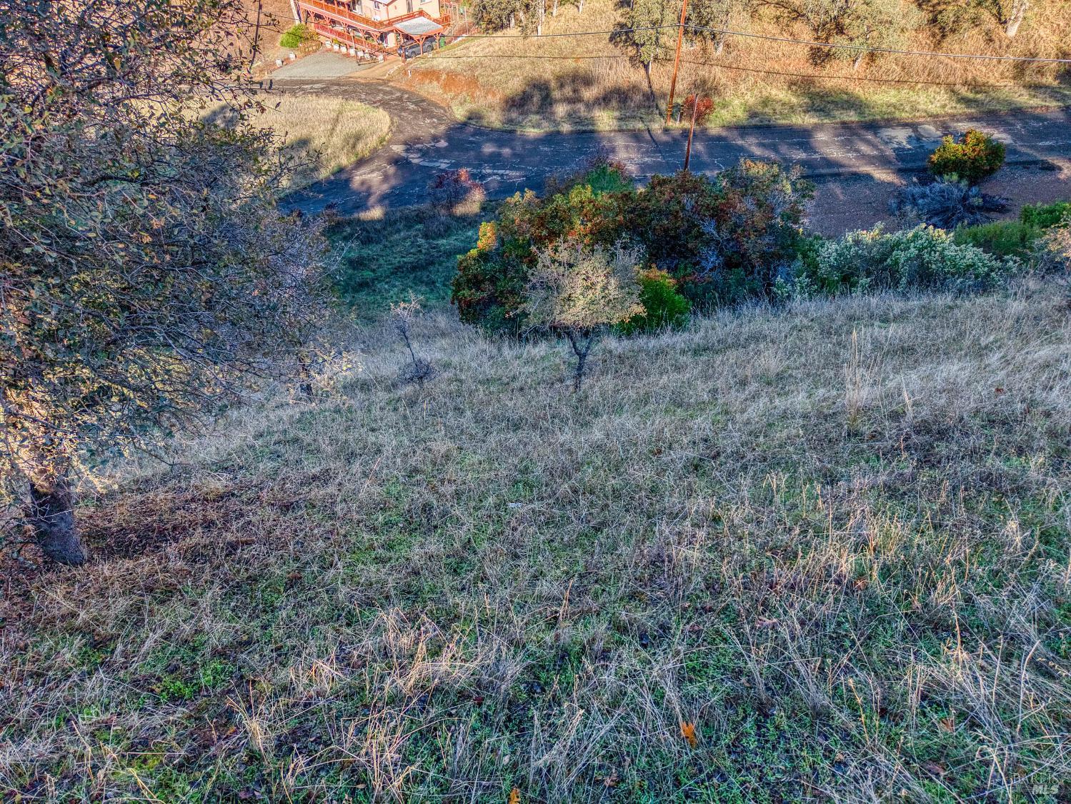 7431 Bruner Drive Glenhaven CA 95443