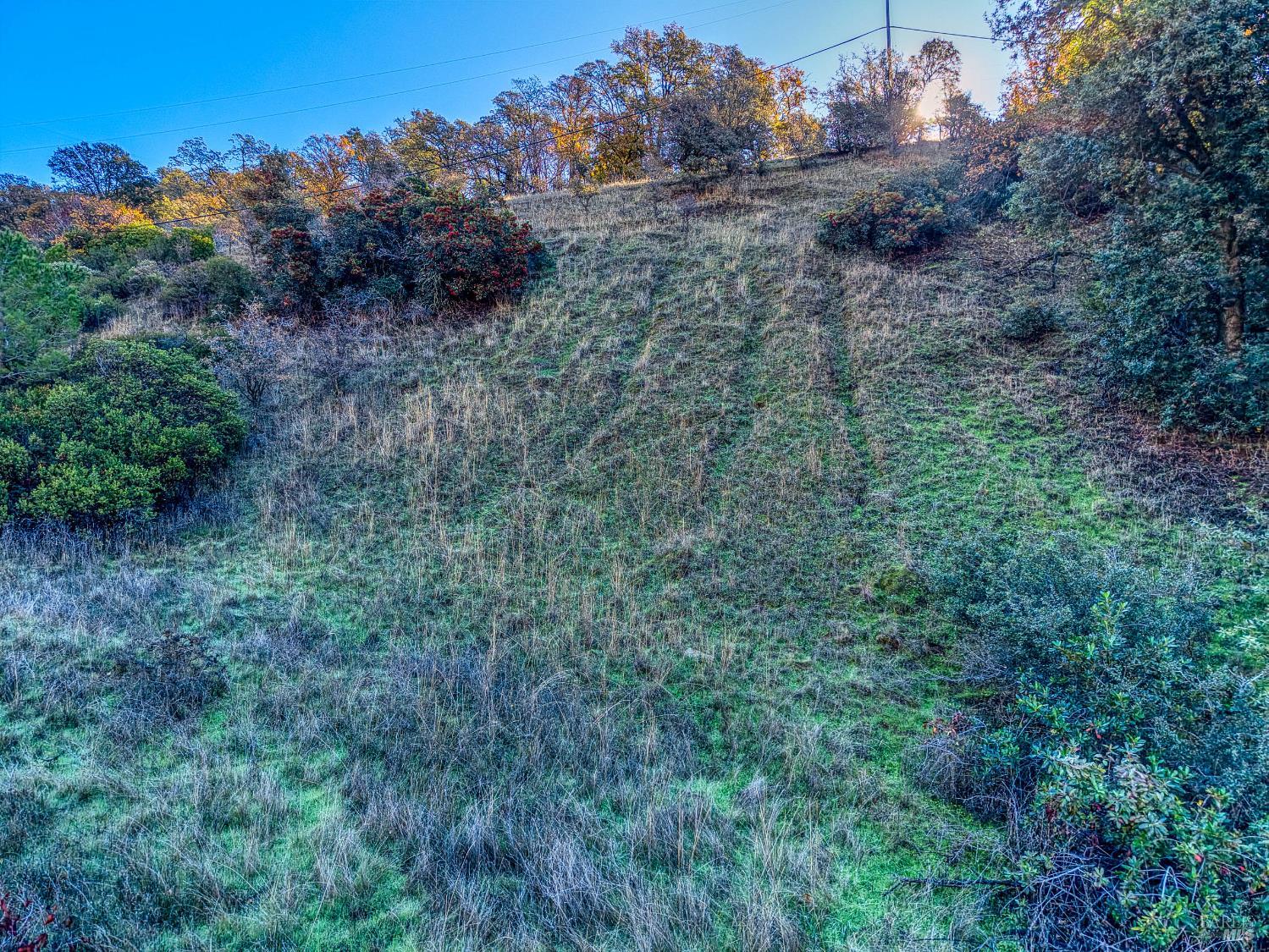 7431 Bruner Drive Glenhaven CA 95443