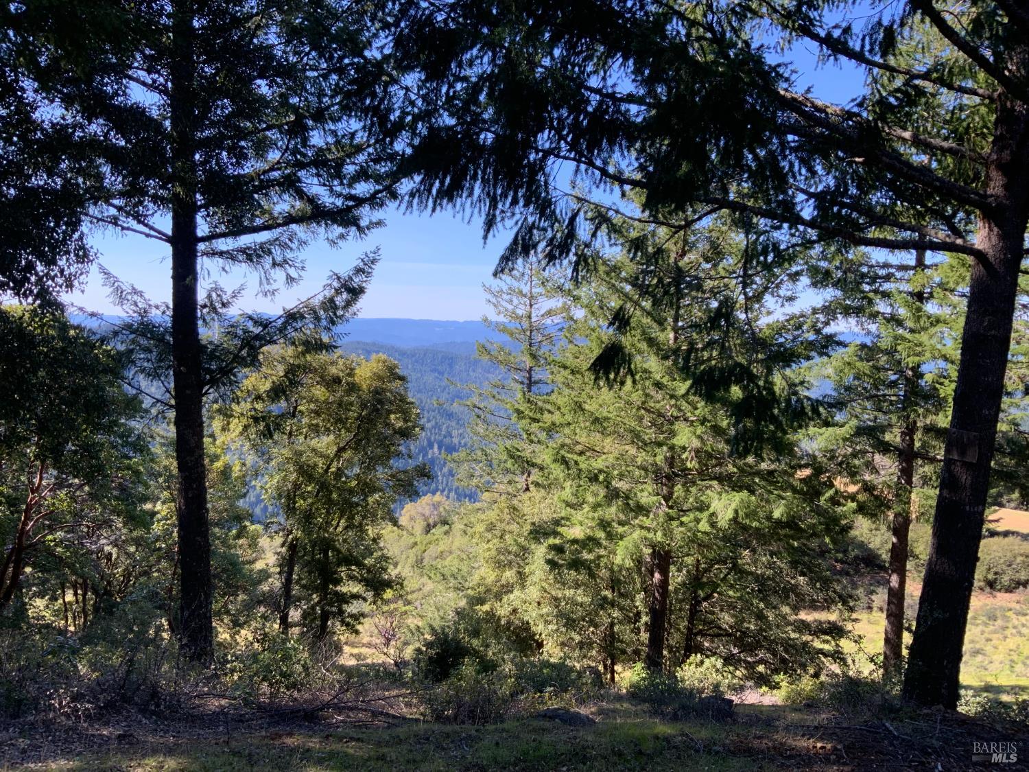 10225 Low Gap Road Ukiah CA 95482