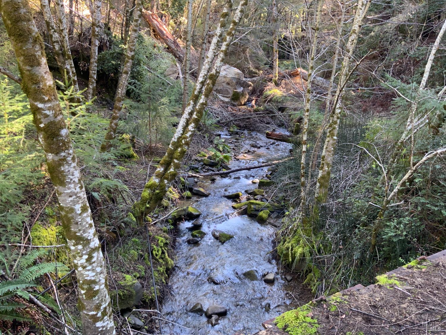 10225 Low Gap Road Ukiah CA 95482