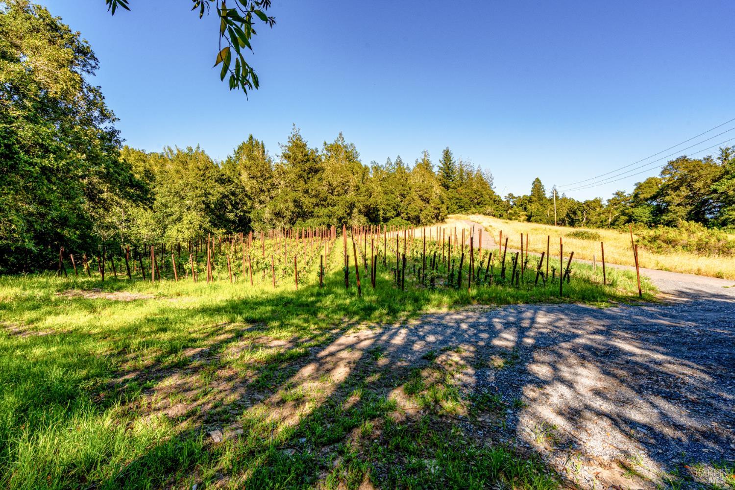 9219 Carols View Lane Forestville CA 95436