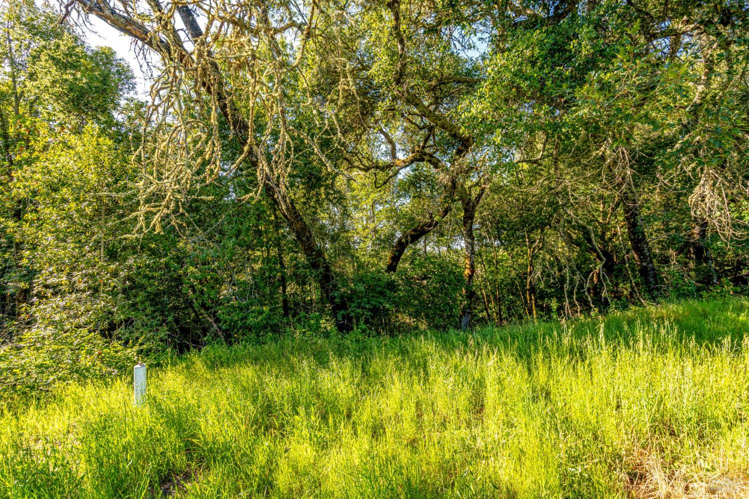 9219 Carols View Lane Forestville CA 95436