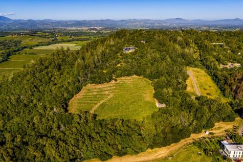 9219 Carols View Lane Forestville CA 95436