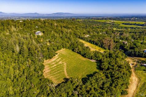 9219 Carols View Lane Forestville CA 95436