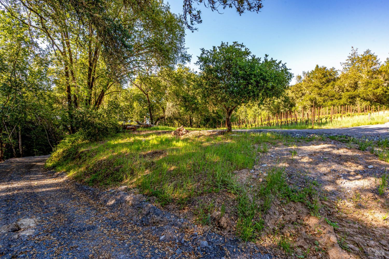 9219 Carols View Lane Forestville CA 95436