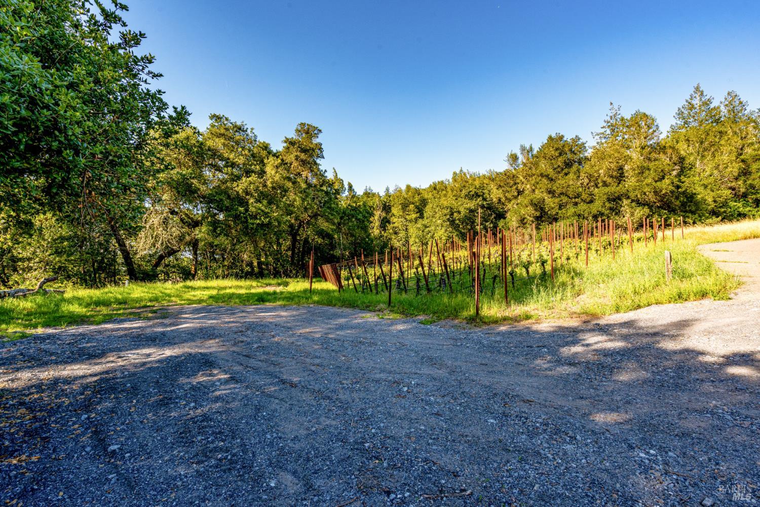 9219 Carols View Lane Forestville CA 95436