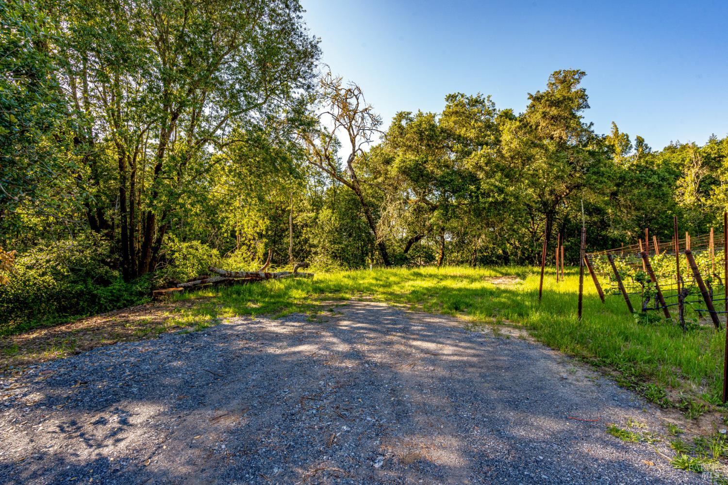 9219 Carols View Lane Forestville CA 95436