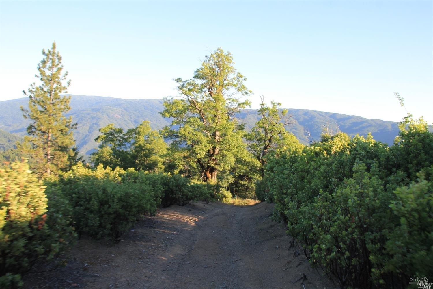 0 Mendocino Pass Road Covelo CA 95428